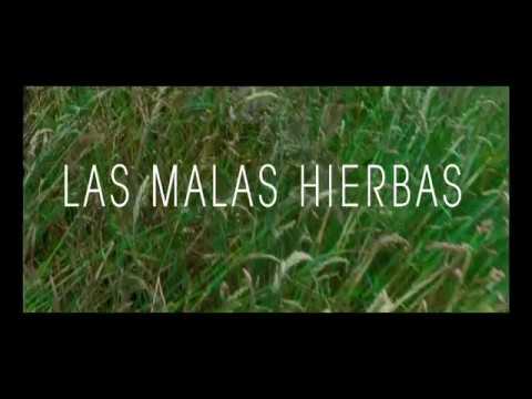 Imagen de previsualización de YouTube