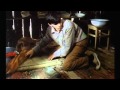 Sjecas li se Dolly Bell / 1981