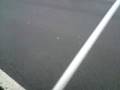 videos de CCL label