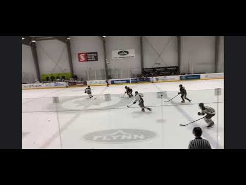 Wild Green - November 2024 - 2