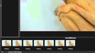 ControlMyNikon 5 - Batch Workflow