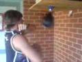 Robby Bobby Speed Bag