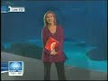 TODAY Show at Georgia Aquarium