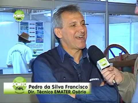 Segunda parte da cobertura do 31º Rodeio Crioulo Internacional de Osório, ocorrido entre os dias 25 e 29 de maio de 2011 no Parque Jorge Dariva, localizado às margens da E-RS 30 em Osório. 