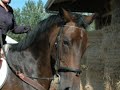 Id�al � la ferme des claines