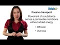Learn Biology: Cells—Osmosis vs. Diffusion