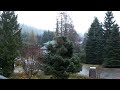 Whistler