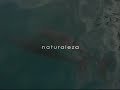 Proyecto Peninsula 2008