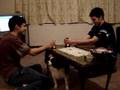 videos de Shocker!