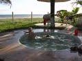 Camping near Acapulco