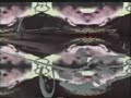 Swell Maps - Let\ Swell Maps - Let\