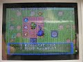 ポケモン不思議のダンジョン 青の救助隊 赤の救助隊