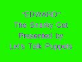 EDWARD - The Snarky Cat - Let's Talk Puppets