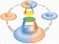 How the Body Works : The Transport of Oxygen