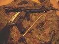 Echo 1 M4A1 basic disassembly