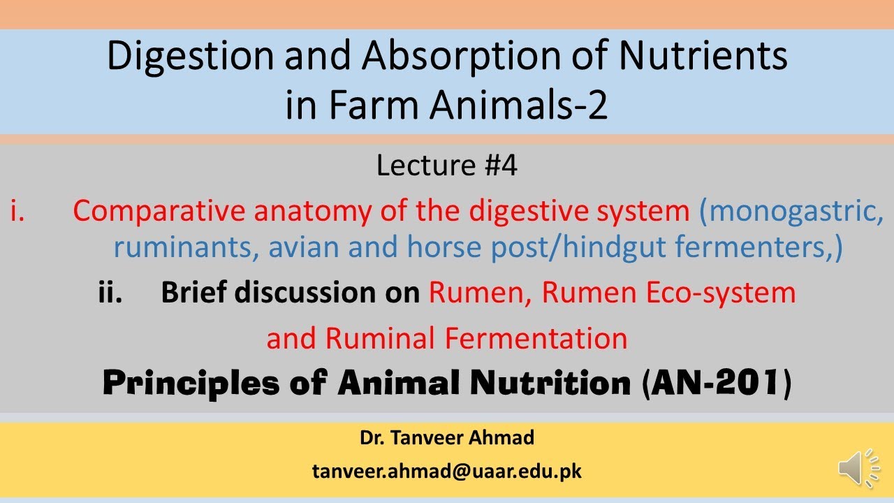 Lecture#4-Comparative anatomy of the digestive system-Lecture Series in Animal Nutrition