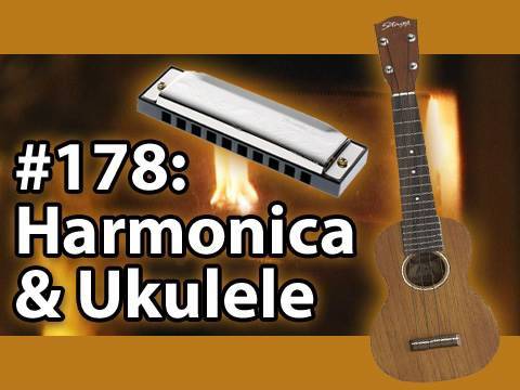 Is It A Good Idea To Microwave A Harmonica  Ukulele?
