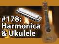 Is It A Good Idea To Microwave A Harmonica & Ukulele?
