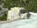 free solo