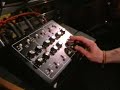 Octave plateau Cat family -3