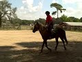 Click here to watch this video For Sale: Tegan Harrison 4 year old Welsh Section C 13.2 h gelding