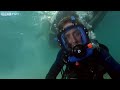 Oceans - Shark Tagging - BBC Two