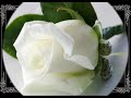 roza miłosci.wmv