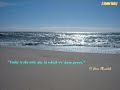 Steve Maraboli Quotes