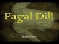 Pagal Dil preview