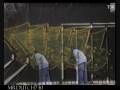 Graffiti - Graff bombing !!  ( CONE ADT VOP )
