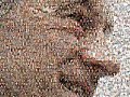 Ron Paul 30 Sec Spot2 - American Liberty Coalition PAC