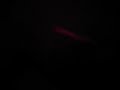 Cat 4