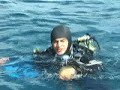 Hippocampus diving center part 2/2