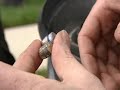 mythbusters: silver bullets