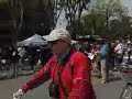 V-day del 25 aprile: gazebo a Milano (Piazzale Lima) V-day del 25 aprile: gazebo a Milano (Piazzale Lima)
