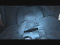 Zara Bear Bug Asleep in the Car Seat Zara Bear Bug Asleep in the Car Seat