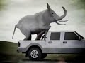 Ford ranger elefante y raton
