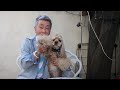 Click here to watch this video 樋の助誕生日コメントのお礼