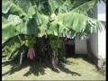 videos de Claudia Onate Tres