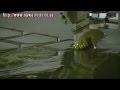 Mild Steel Bracket cut at 6000BAR Water Pressure - YouTube