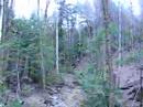 Ziplining Clip 10