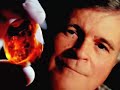 NOVA scienceNOW | NOVA Short | Amber Slide Show