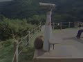 Part 9 - Iwatayama Monkey Park
