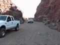The Desert Iguanas\ The Desert Iguanas\