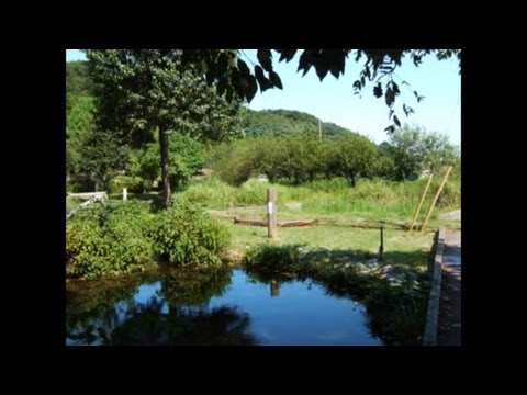 鶴見川の源流に行ってみた（The Headstream of the Tsurumi River）