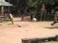 elephant camp mesai 5