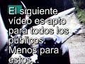 Sábado 04 04 09