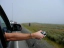 Bison Drive-by