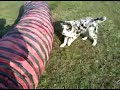 VID 00020 20091216 1351