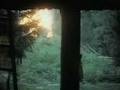 Tarkovsky's Mirror Set to Arvo Pärt's Mirror in the Mirror